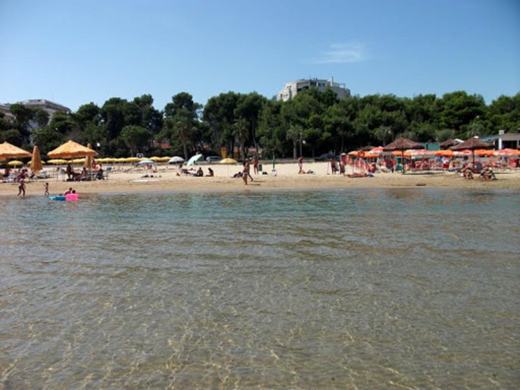Un Nido Sul Mare Apartment มอนเตซิลวาโน ภายนอก รูปภาพ