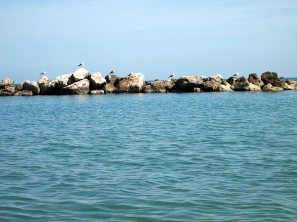 Un Nido Sul Mare Apartment มอนเตซิลวาโน ภายนอก รูปภาพ